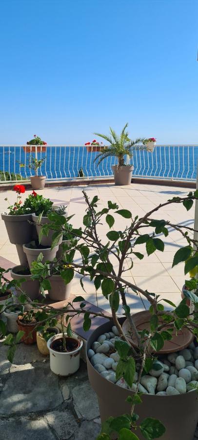 Apartments Matea Studio Apartment Štikovica المظهر الخارجي الصورة